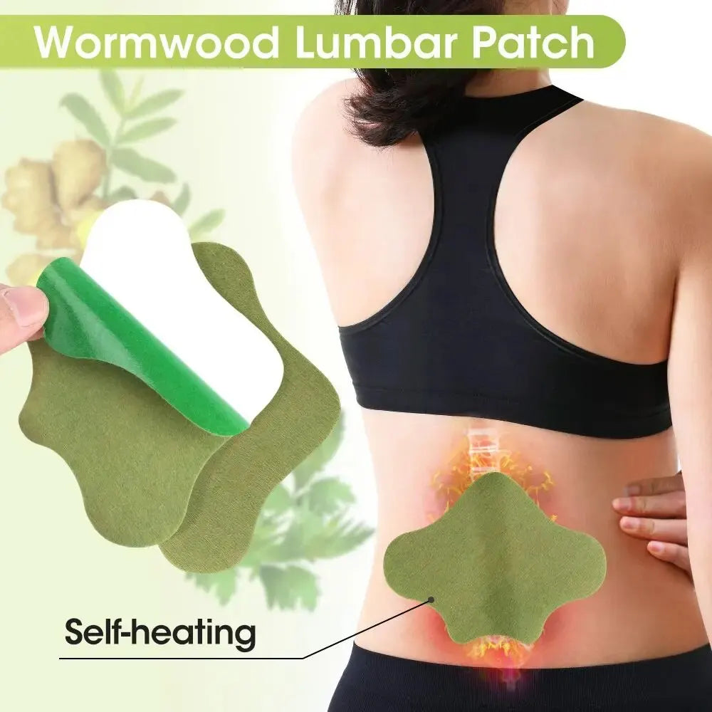 3 Pack Herbal Extract Wormwood Patches For Knees, Lower Back, Neck and Feet