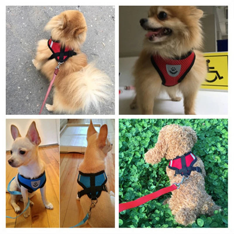 Reflective Breathable Mesh Dog Harness and Leash Set