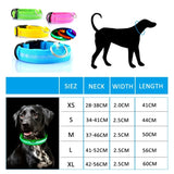 LED Dog Collar/Anti-lost Collar For Dogs Puppies