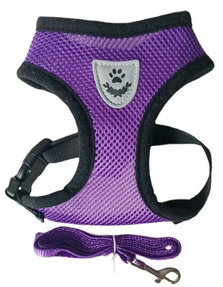 Reflective Breathable Mesh Dog Harness and Leash Set